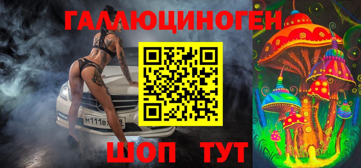 Псилоцибиновые грибы Cubensis  Вход с VPN  Майкоп 