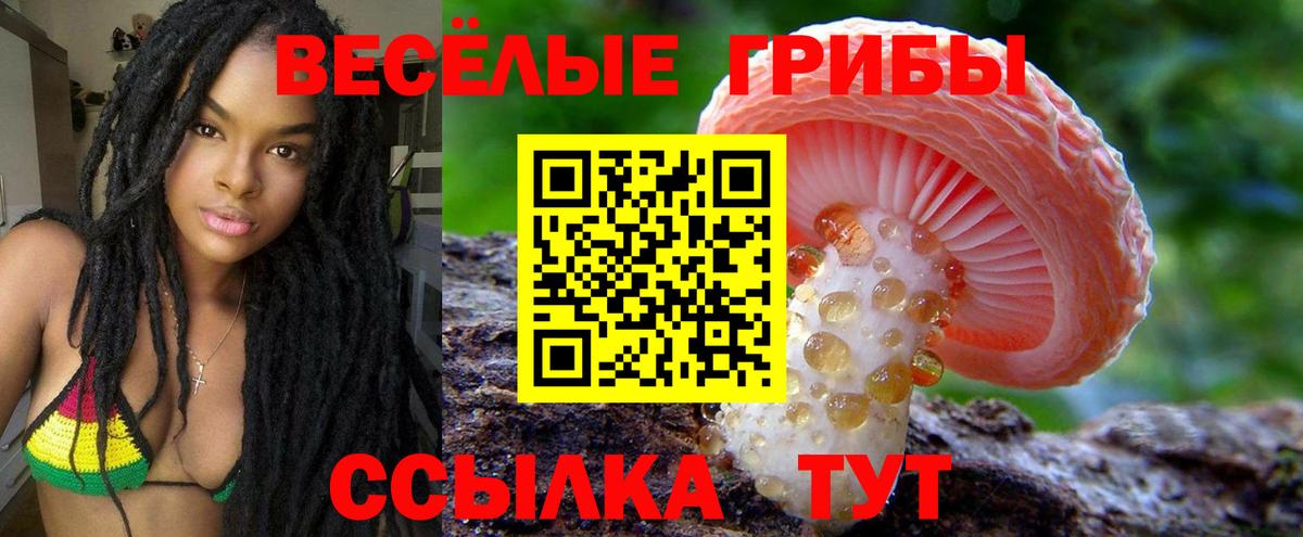 Псилоцибиновые грибы GOLDEN TEACHER Майкоп